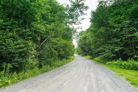Wooded Land Near Mount Snow