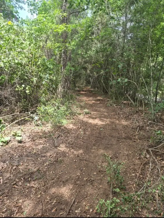 Picture 5