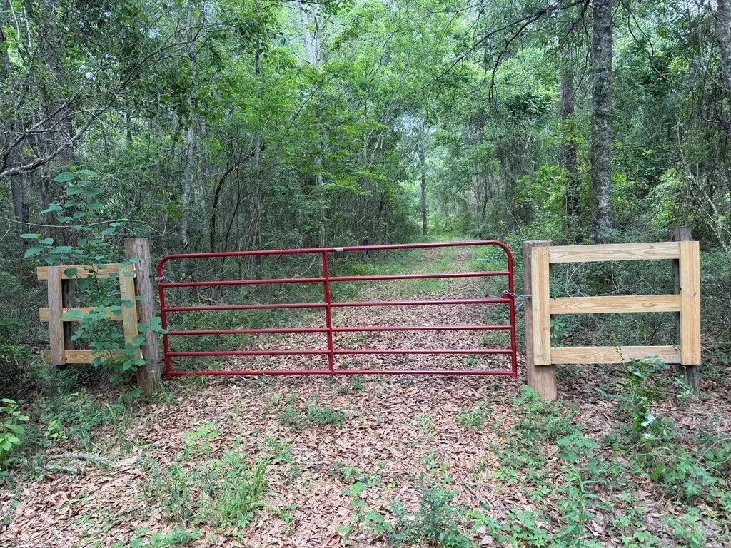 Picture 5