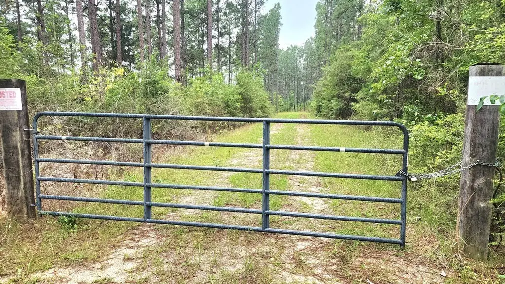 Picture 2