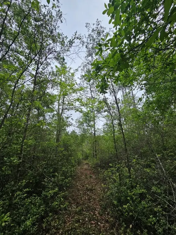 Picture 9