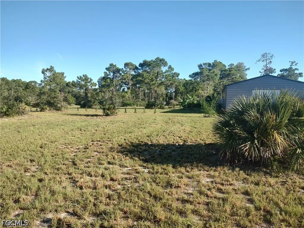 Picture 6