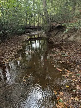 Hunting Land with Creek Frontage