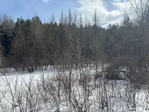 74.9 Acres in Essex, NY