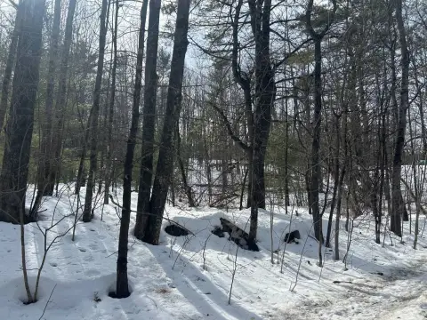 24.9 Acres Vacant Land