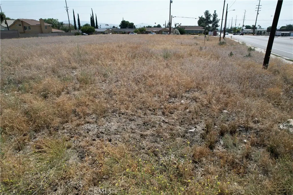 Picture 19