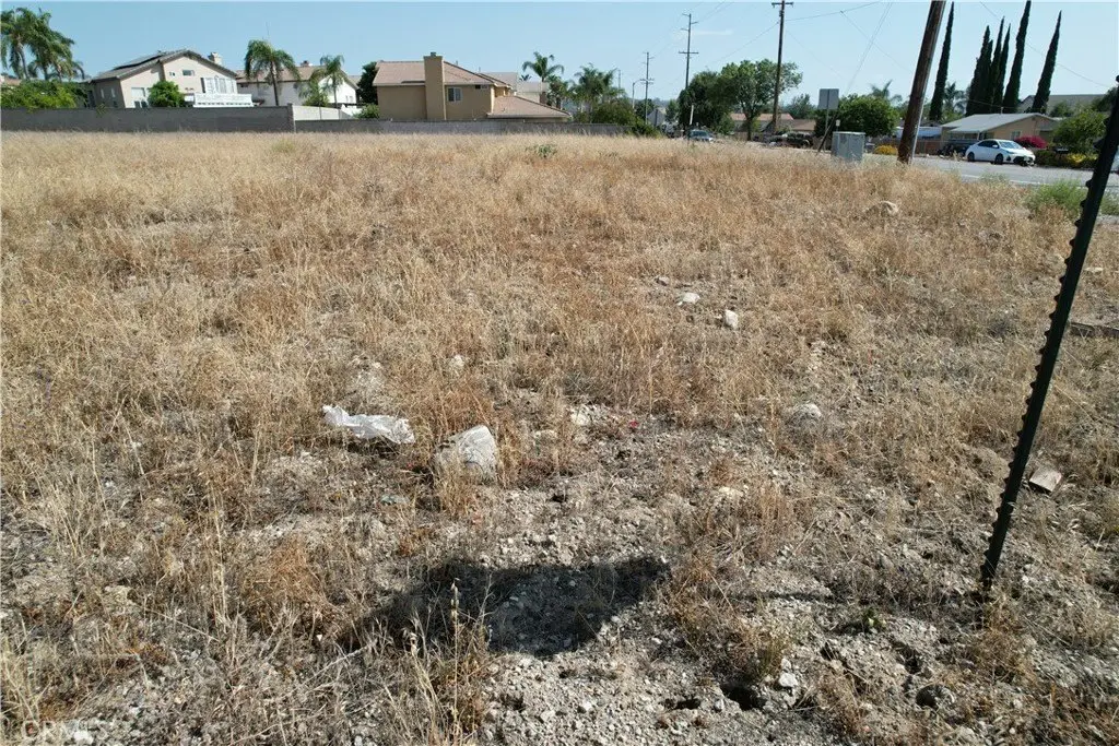 Picture 27