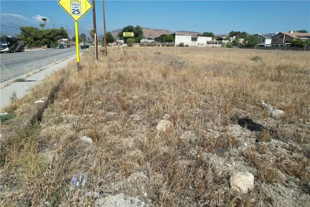 Picture 25
