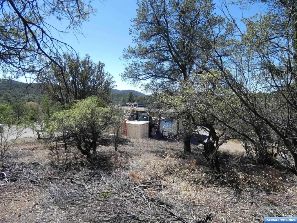Picture 13