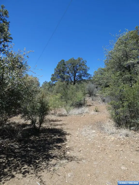 Picture 8