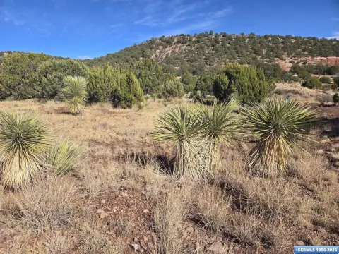 Land with Sweeping Views