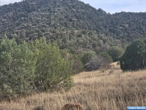 Unrestricted Mountain Land in Mimbres