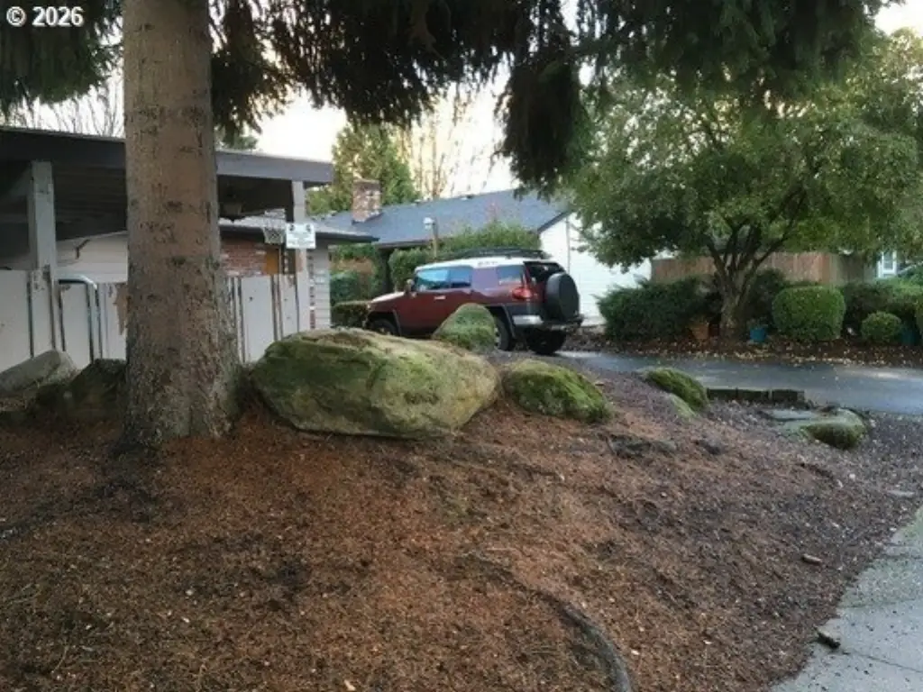 Picture 2