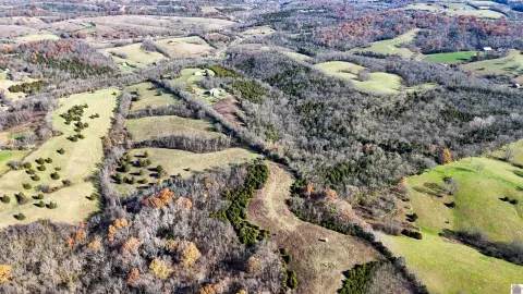 126 Acres in Harrison County
