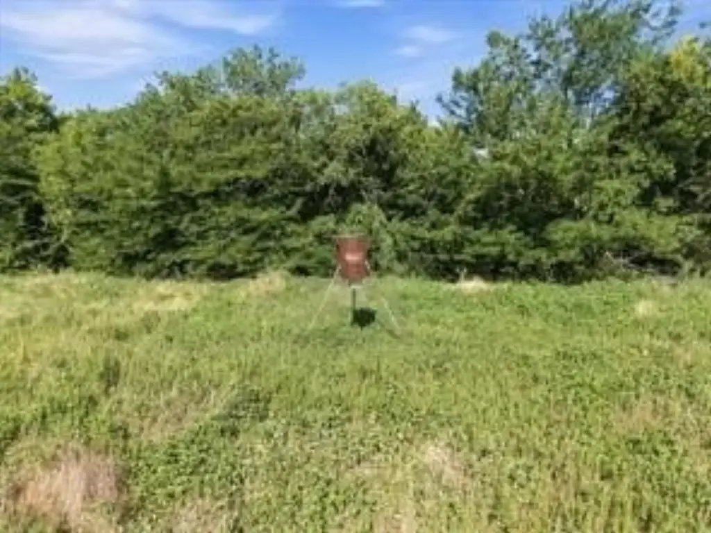 Picture 11