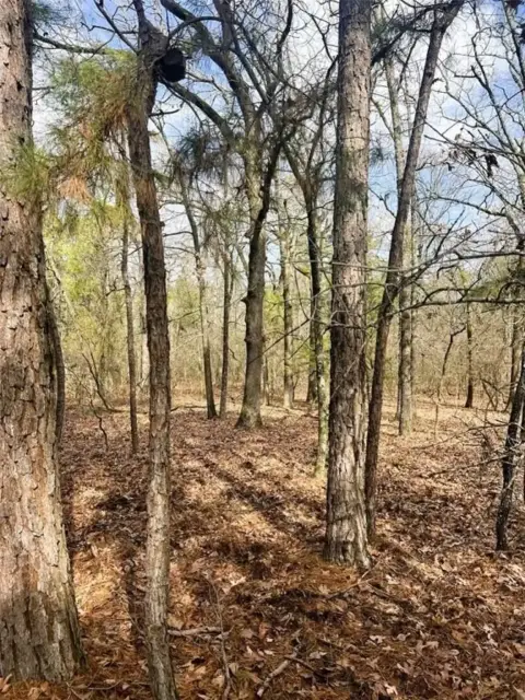 Secluded Wooded Acreage in Winnsboro