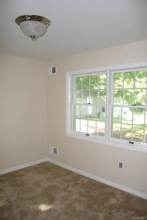 Picture 29