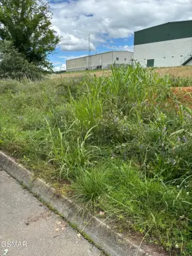 Commercial Lot in Growing Area