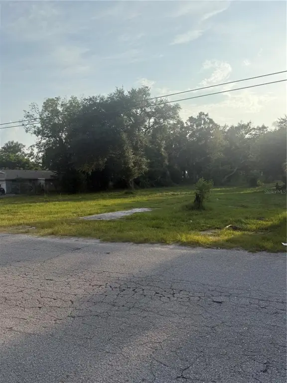 Picture 6