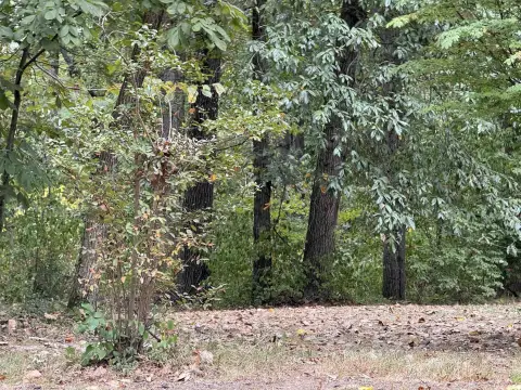 Evansville Wooded Residential Land