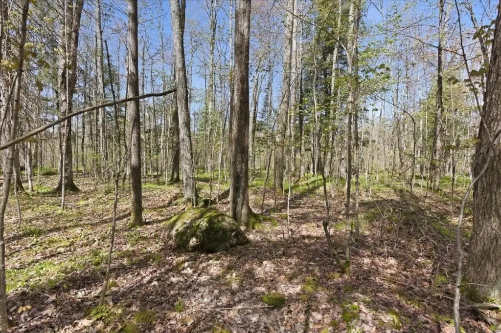 Picture 15