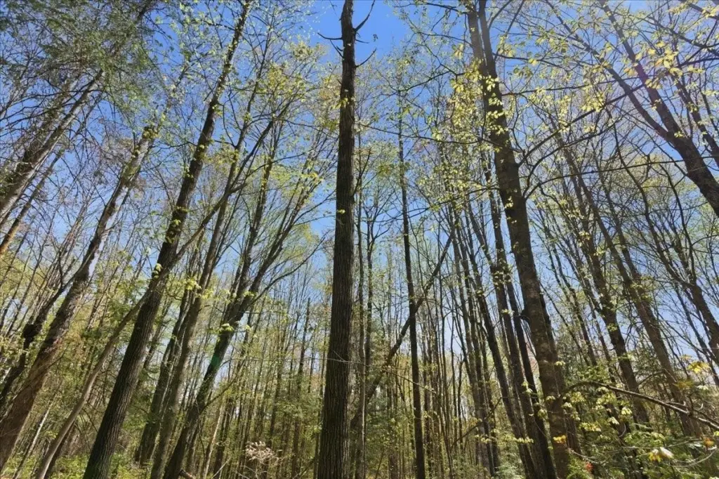 Picture 30