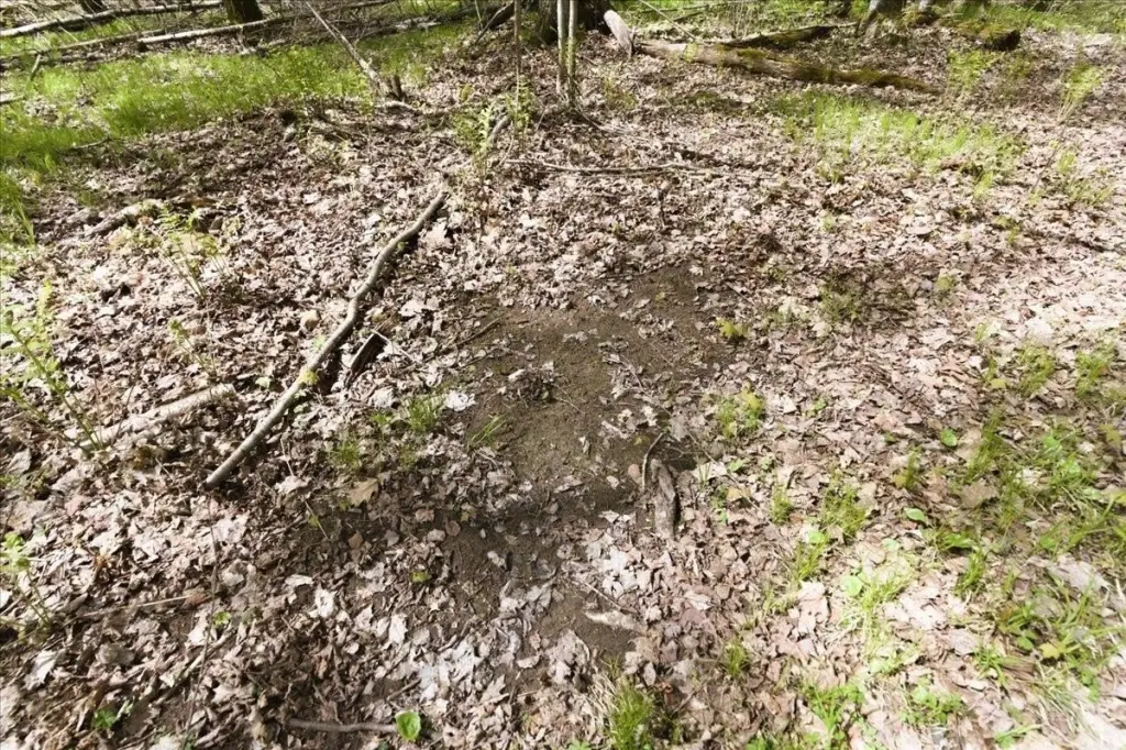 Picture 33