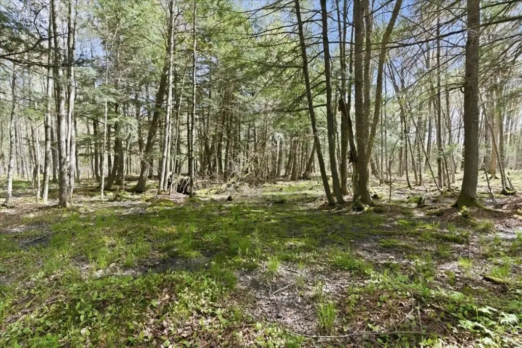 Picture 27
