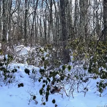 Land Parcel in Wurtsboro, NY