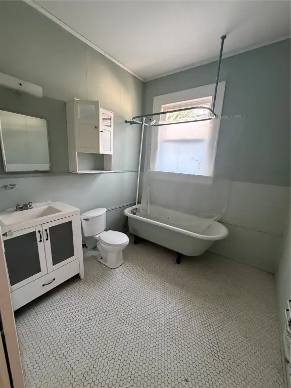 Picture 18