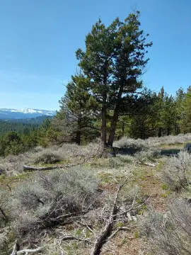 Portola Land with Mountain Views