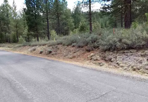 Portola, CA Single Family Lot