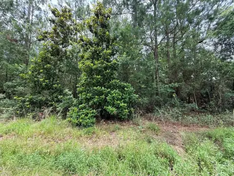 Waterfront Residential Lot