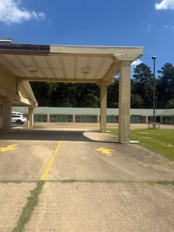 Picture 5