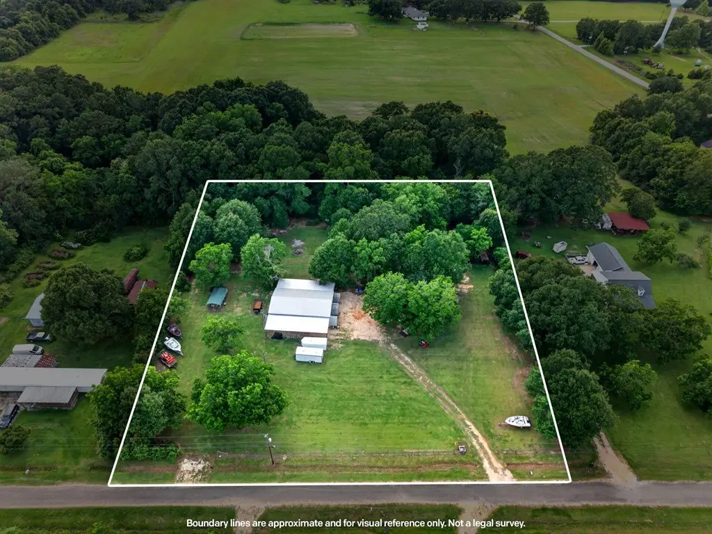Picture 19