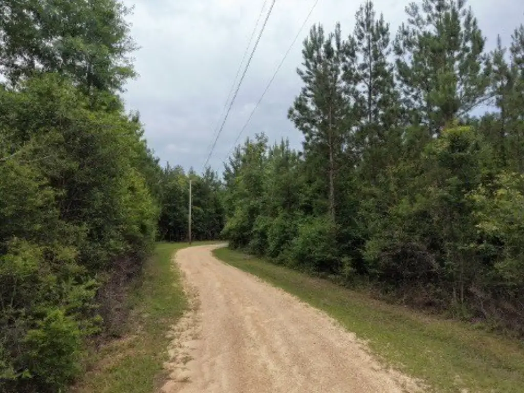 Picture 4