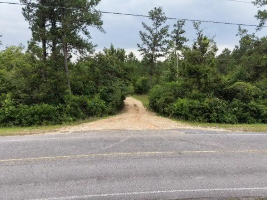 Picture 6
