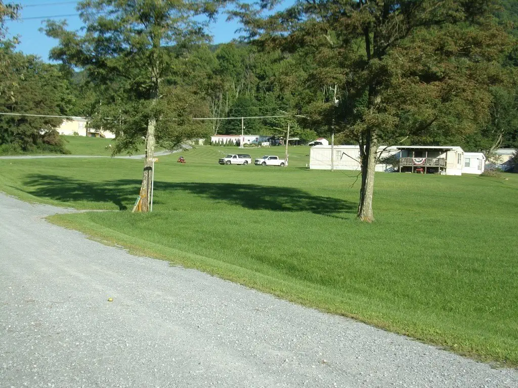 Picture 6