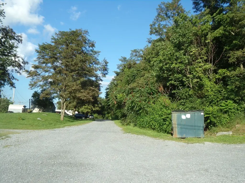 Picture 10