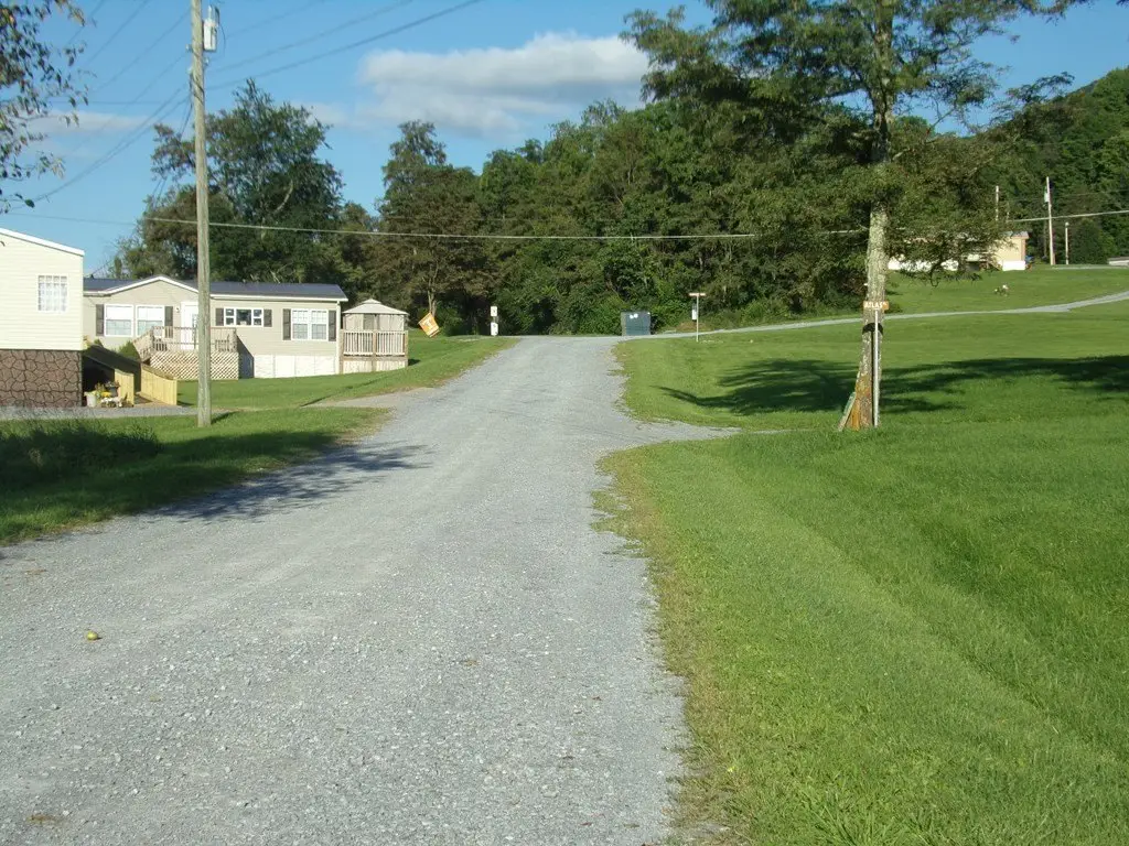 Picture 7