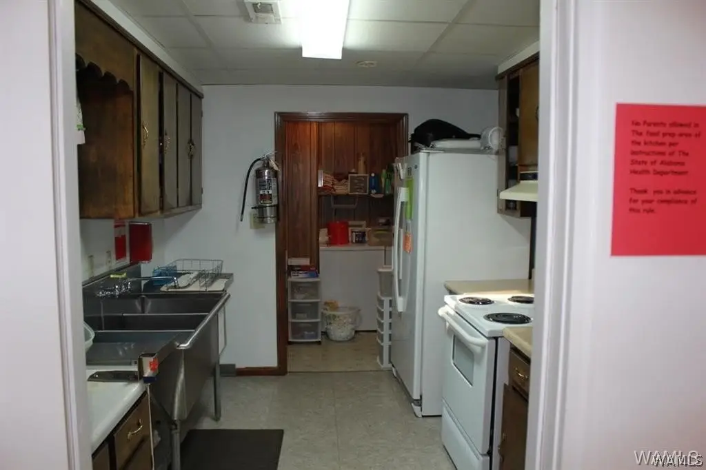 Picture 8