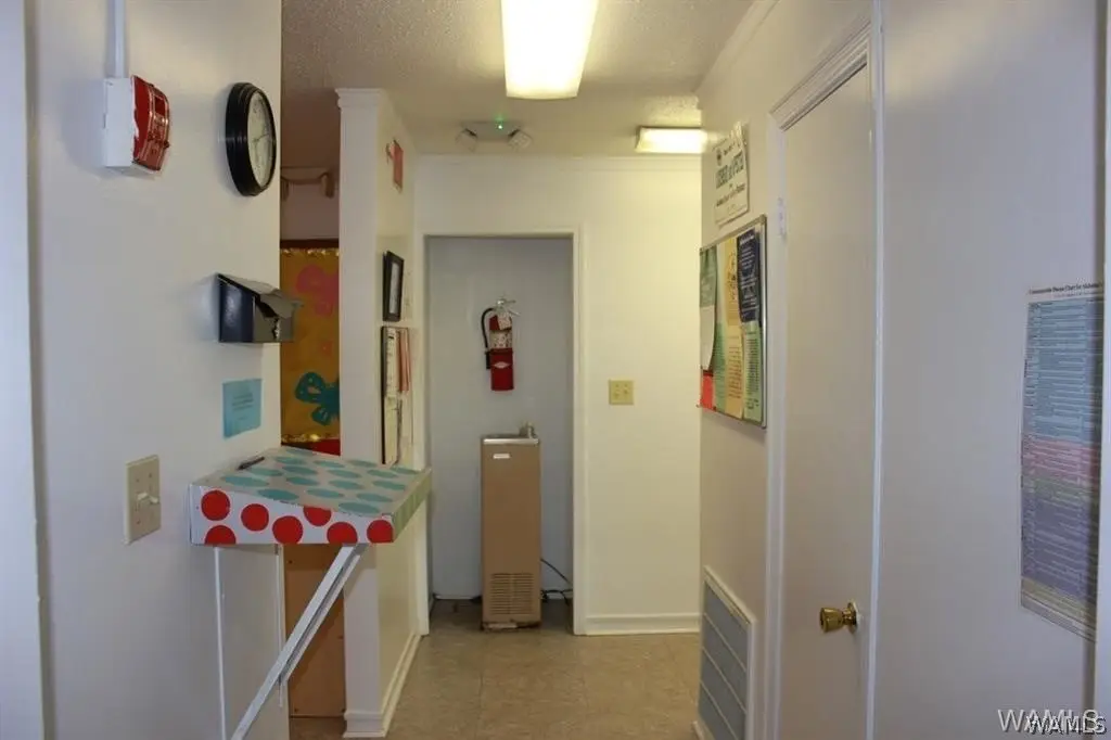 Picture 29