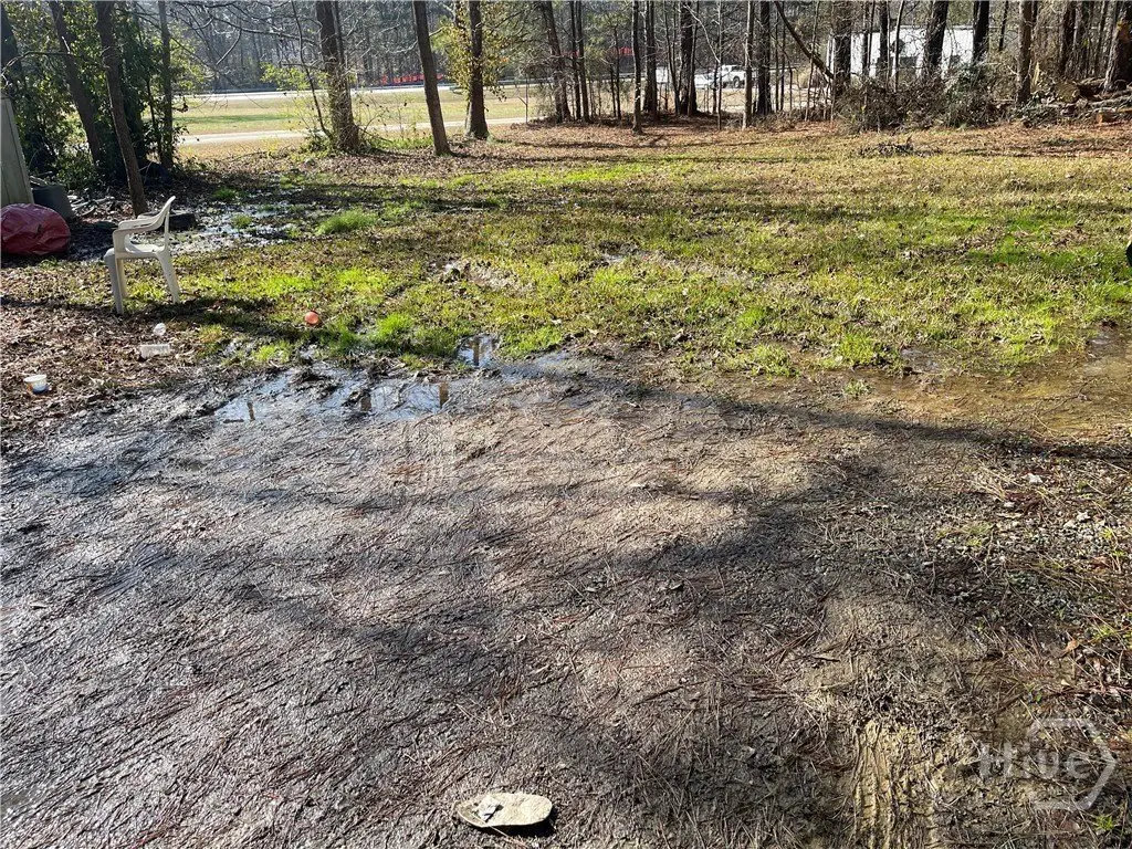 Picture 29