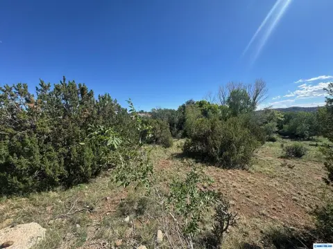 Silver City Vacant Wooded Land