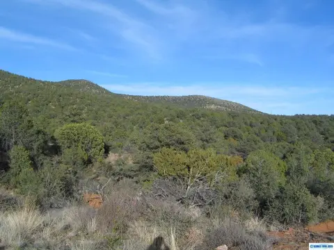 20 Acres in Silver City