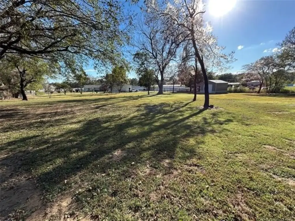 Picture 19