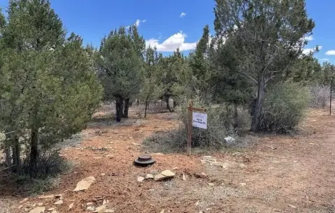 Zion Ponderosa Land Opportunity