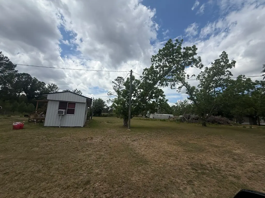 Picture 5