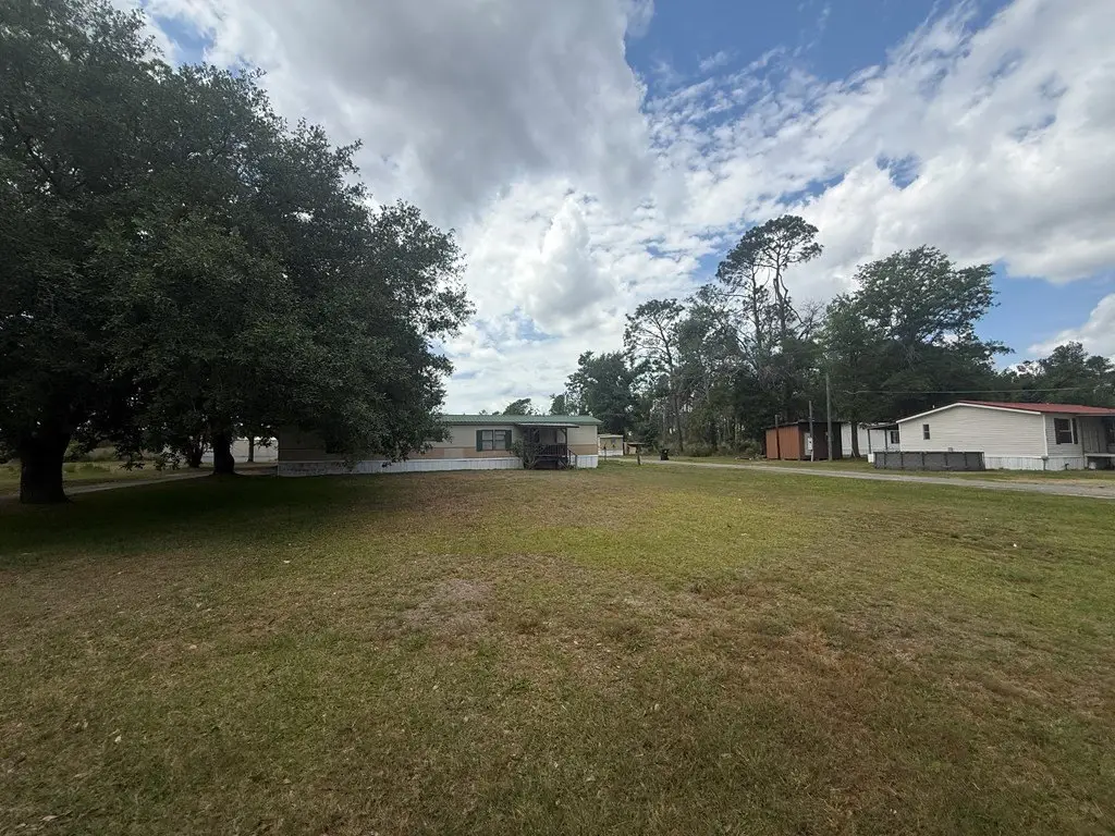 Picture 8
