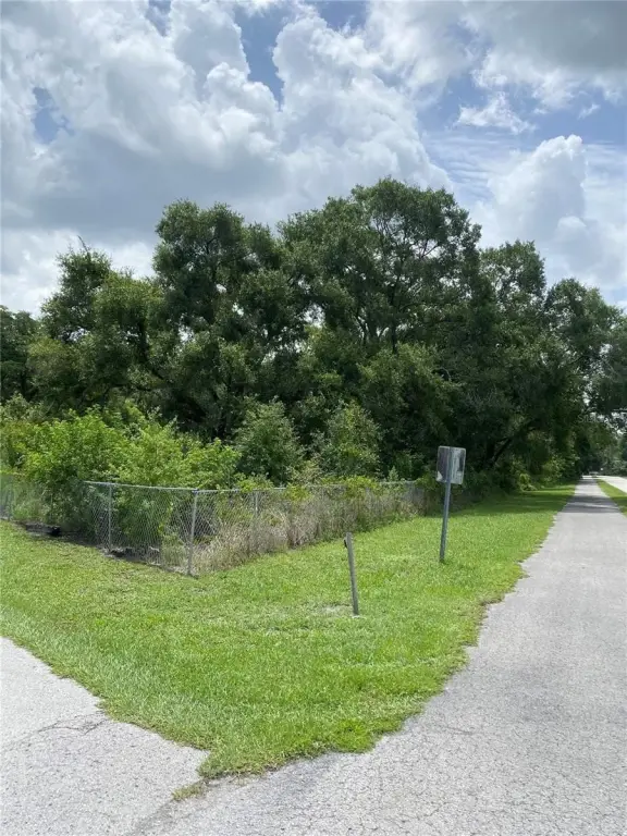 Picture 5